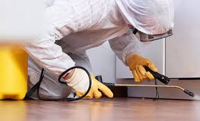 Real Estate Pest Inspections in Forest Park, GA